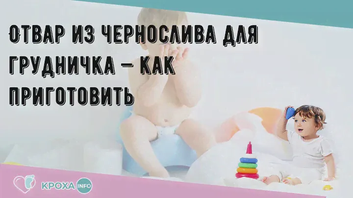 Отвар из чернослива для грудничка — как приготовить